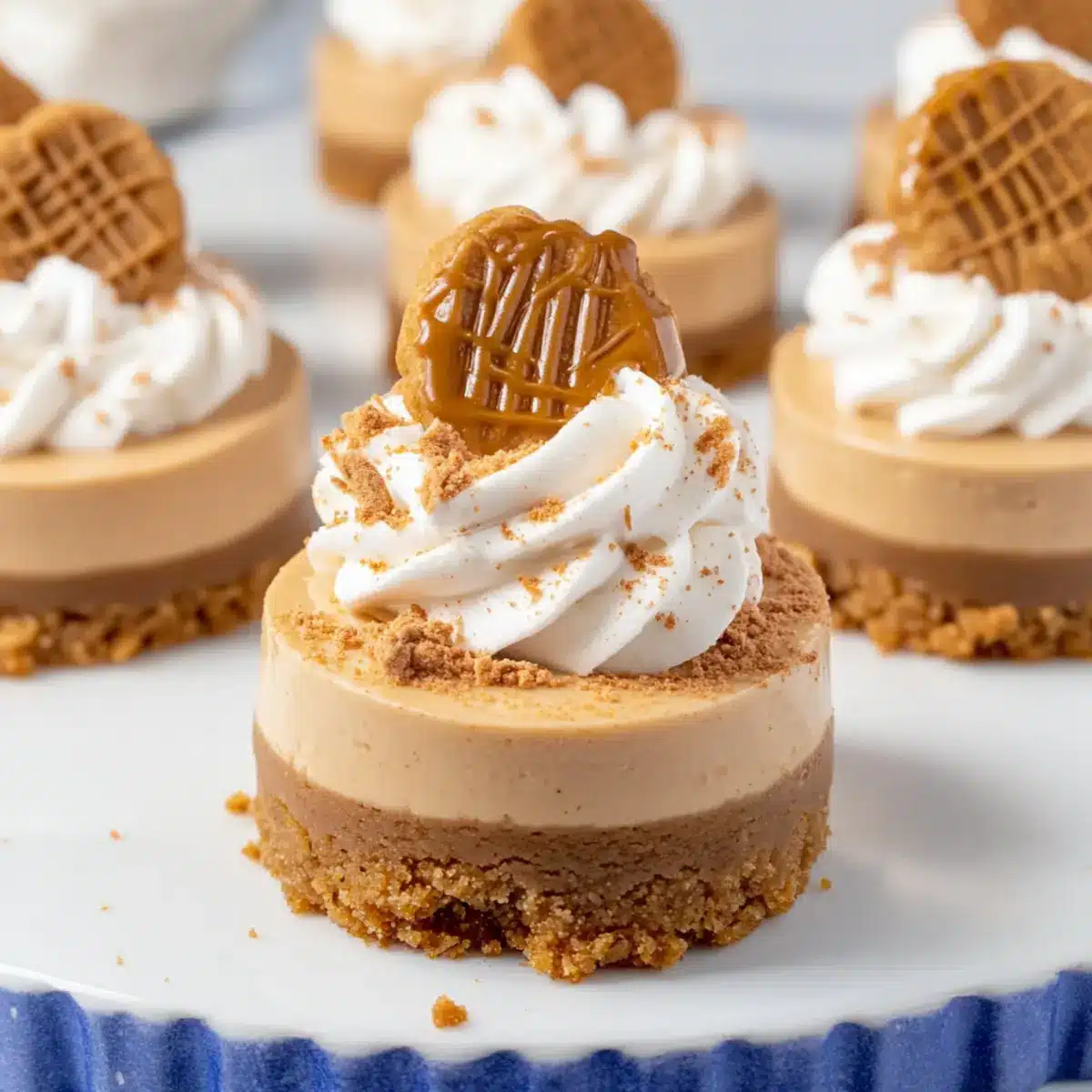 Mini Biscoff Cheesecakes
